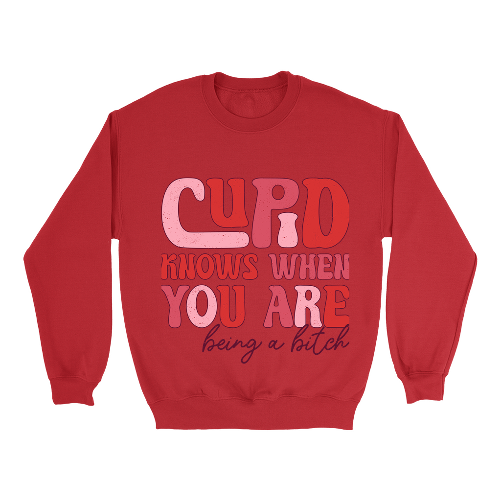 Cupid's Wit:  Bold Valentine's Sweatshirt - Sassy statement in distressed pinks & reds.  Cozy Gildan 18000, S-5XL.