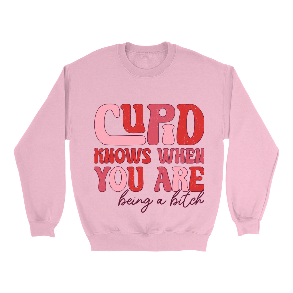 Cupid's Wit:  Bold Valentine's Sweatshirt - Sassy statement in distressed pinks & reds.  Cozy Gildan 18000, S-5XL.