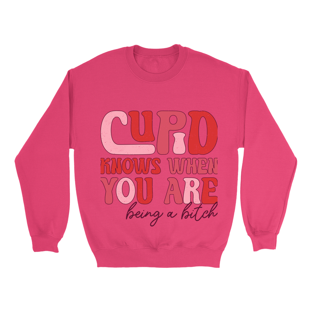 Cupid's Wit:  Bold Valentine's Sweatshirt - Sassy statement in distressed pinks & reds.  Cozy Gildan 18000, S-5XL.