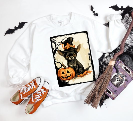 Explore our bewitching collection of Halloween sweatshirts, showcasing the mysterious allure of a Chihuahua on the front.