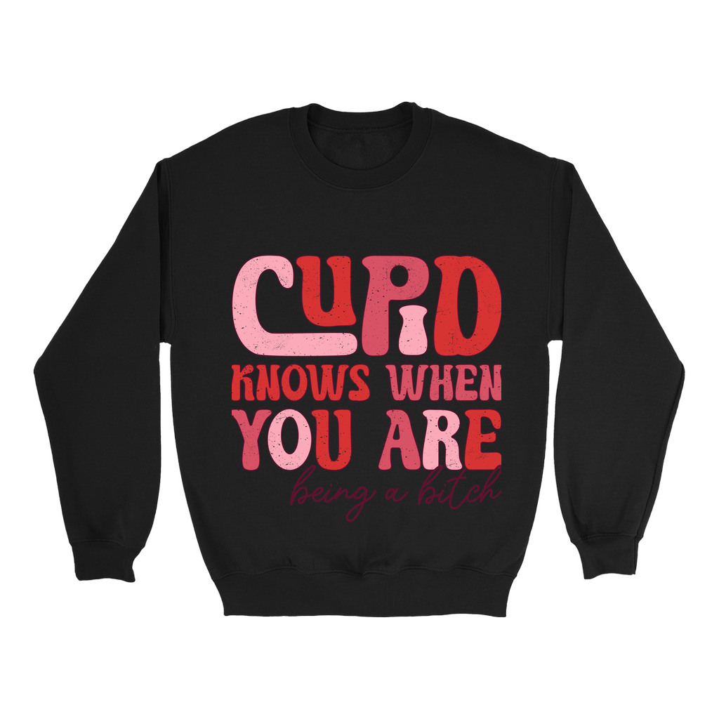 Cupid's Wit:  Bold Valentine's Sweatshirt - Sassy statement in distressed pinks & reds.  Cozy Gildan 18000, S-5XL.