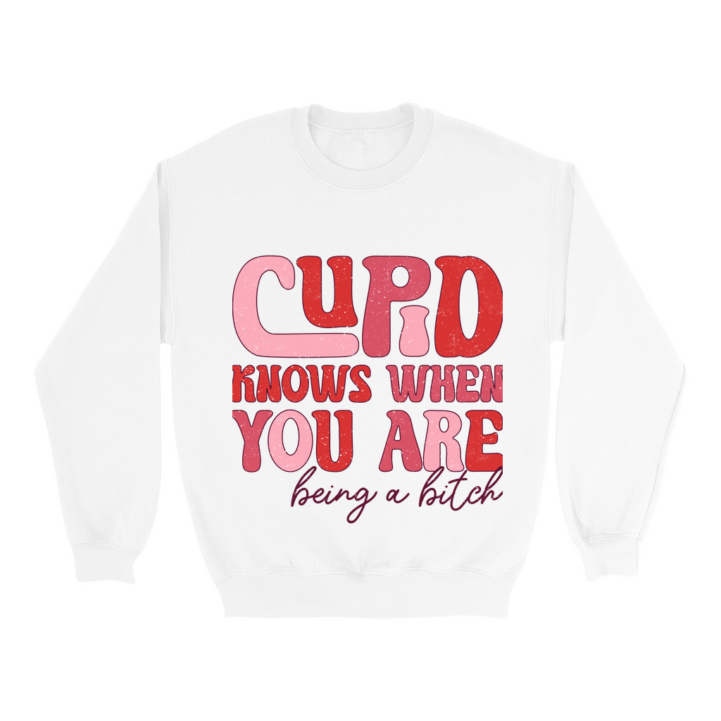 Cupid's Wit:  Bold Valentine's Sweatshirt - Sassy statement in distressed pinks & reds.  Cozy Gildan 18000, S-5XL.