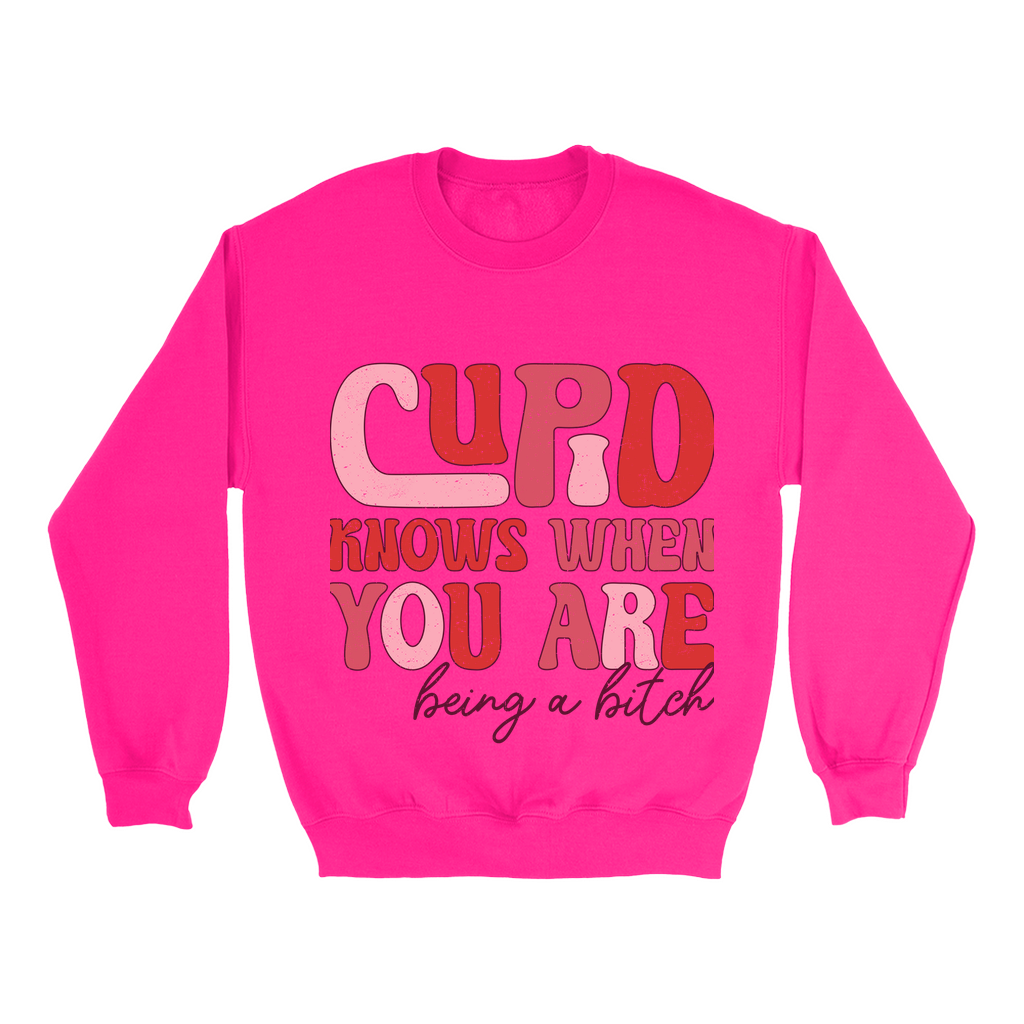 Cupid's Wit:  Bold Valentine's Sweatshirt - Sassy statement in distressed pinks & reds.  Cozy Gildan 18000, S-5XL.