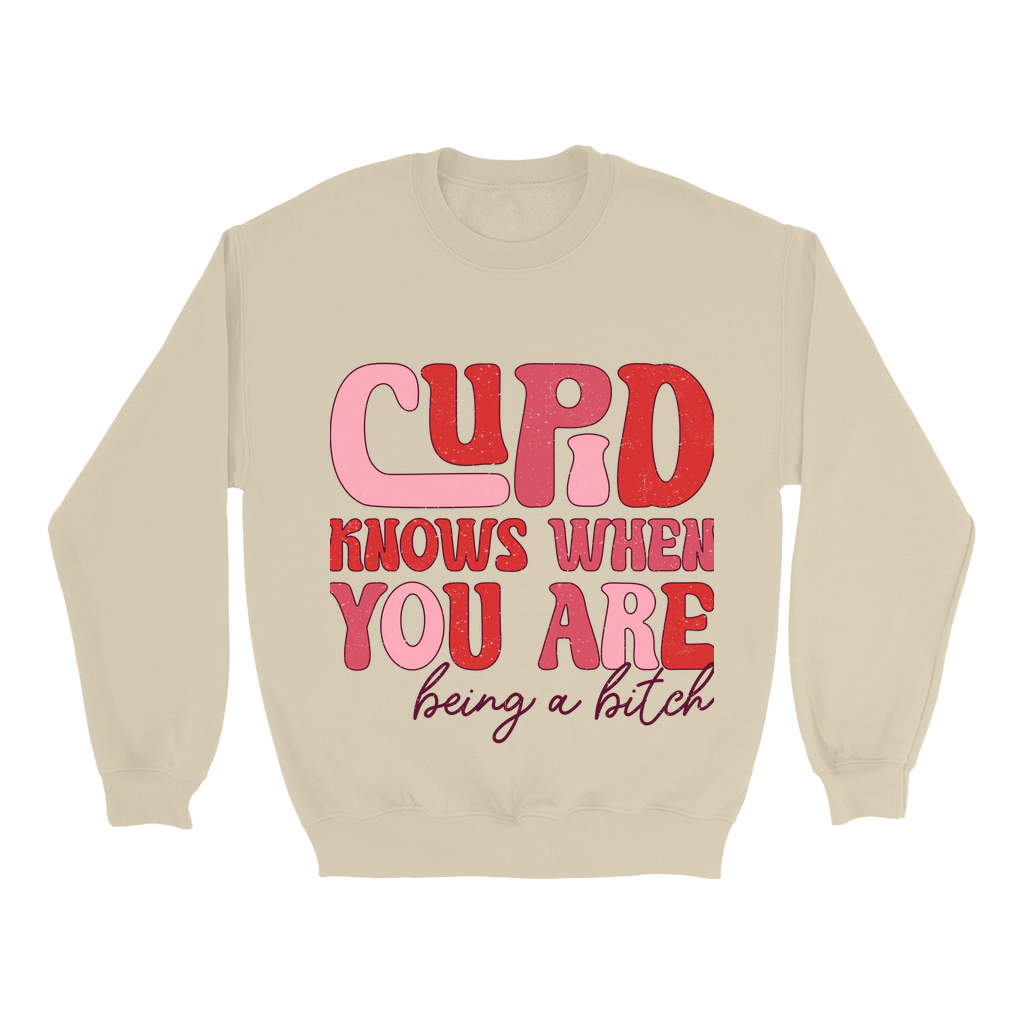 Cupid's Wit:  Bold Valentine's Sweatshirt - Sassy statement in distressed pinks & reds.  Cozy Gildan 18000, S-5XL.